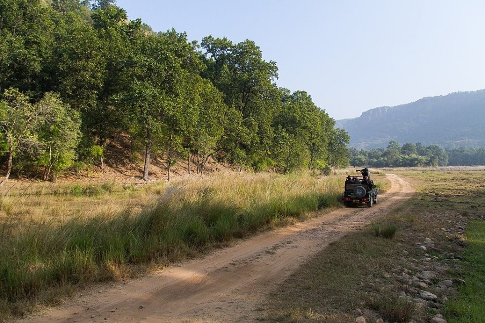 Bandhavgarh